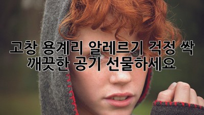 고창 용계리 알레르기 걱정 싹! ✨ 깨끗한 공기 선물하세요 🎁